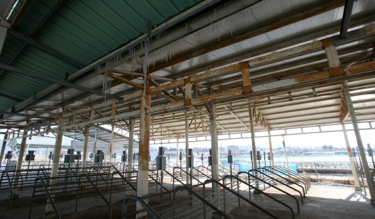 10일 오전 강원 춘천시 신북읍 율문리의 춘천가축시장이 구제역 여파로 잠정 폐쇄된 탓에 정규개장일에 문을 열지 못해 썰렁하다.